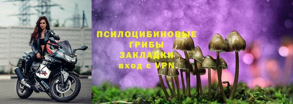 кристаллы Гусь-Хрустальный