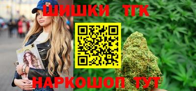 индика Кандалакша