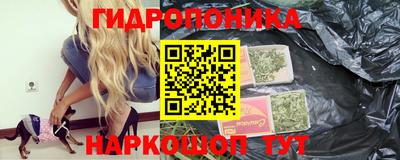 ПСИЛОЦИБИНОВЫЕ ГРИБЫ Камышлов