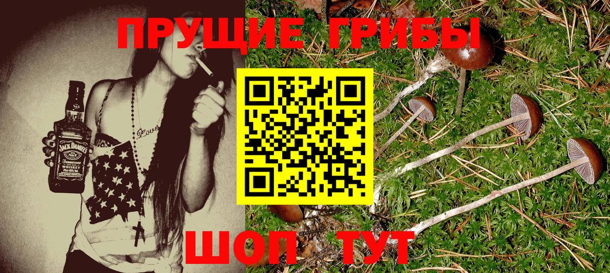 Псилоцибиновые грибы Magic Shrooms Острогожск