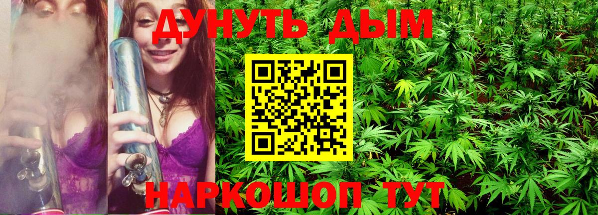 Бошки Шишки планчик  Канабис тримм  Канабис тримм  МАРИХУАНА сатива  Острогожск 